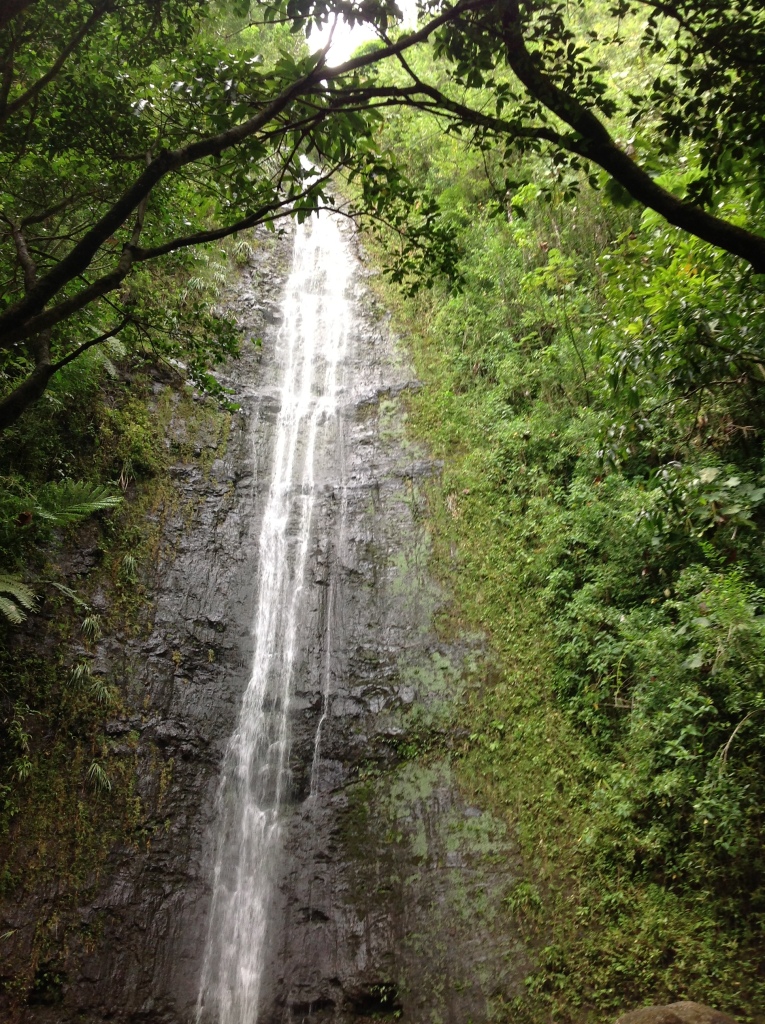 Manoa Falls, Hawaii